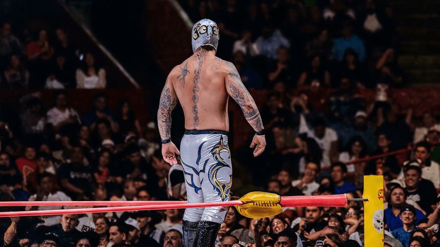 Siente el Rugido  de la Arena